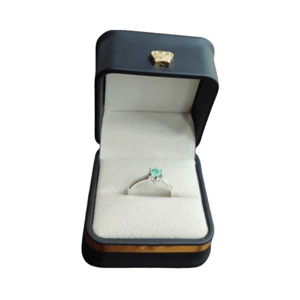 Anillo de plata con esmeralda Iris