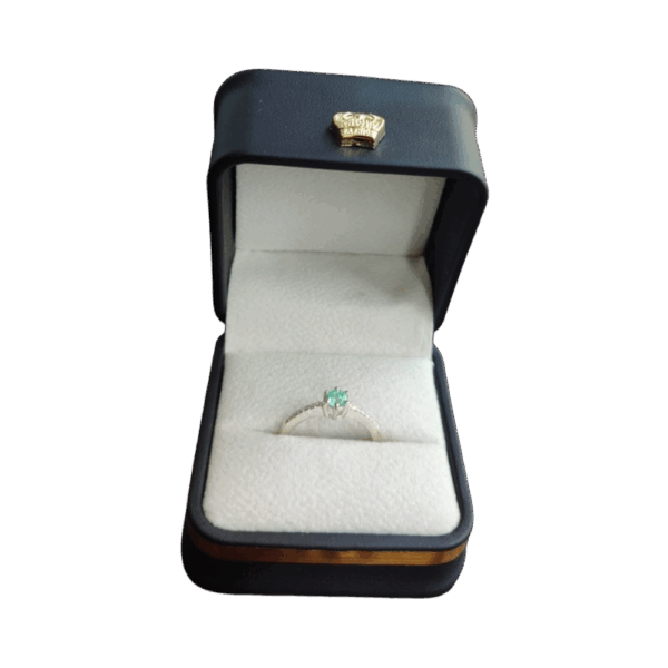 Anillo de plata con esmeralda Raíz